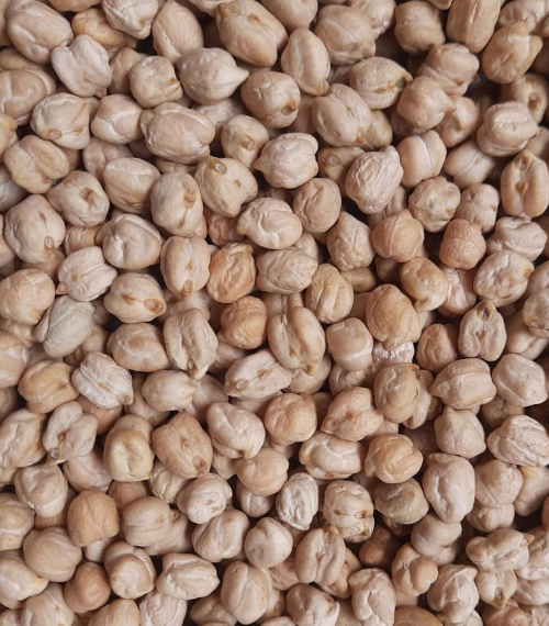 Kabuli Chana 58/60