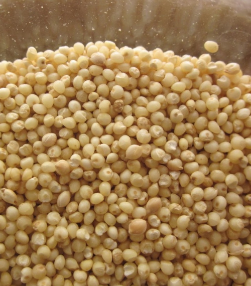 Small Millets (Foxtail & Kodo)